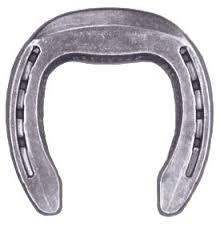 victory natural balance aluminum