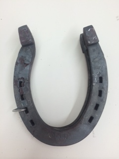 Mark Walling Walking Horse Hind Shoes mark walling walking horse hind shoes
