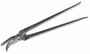 Lopez Saddle Horse Clincher